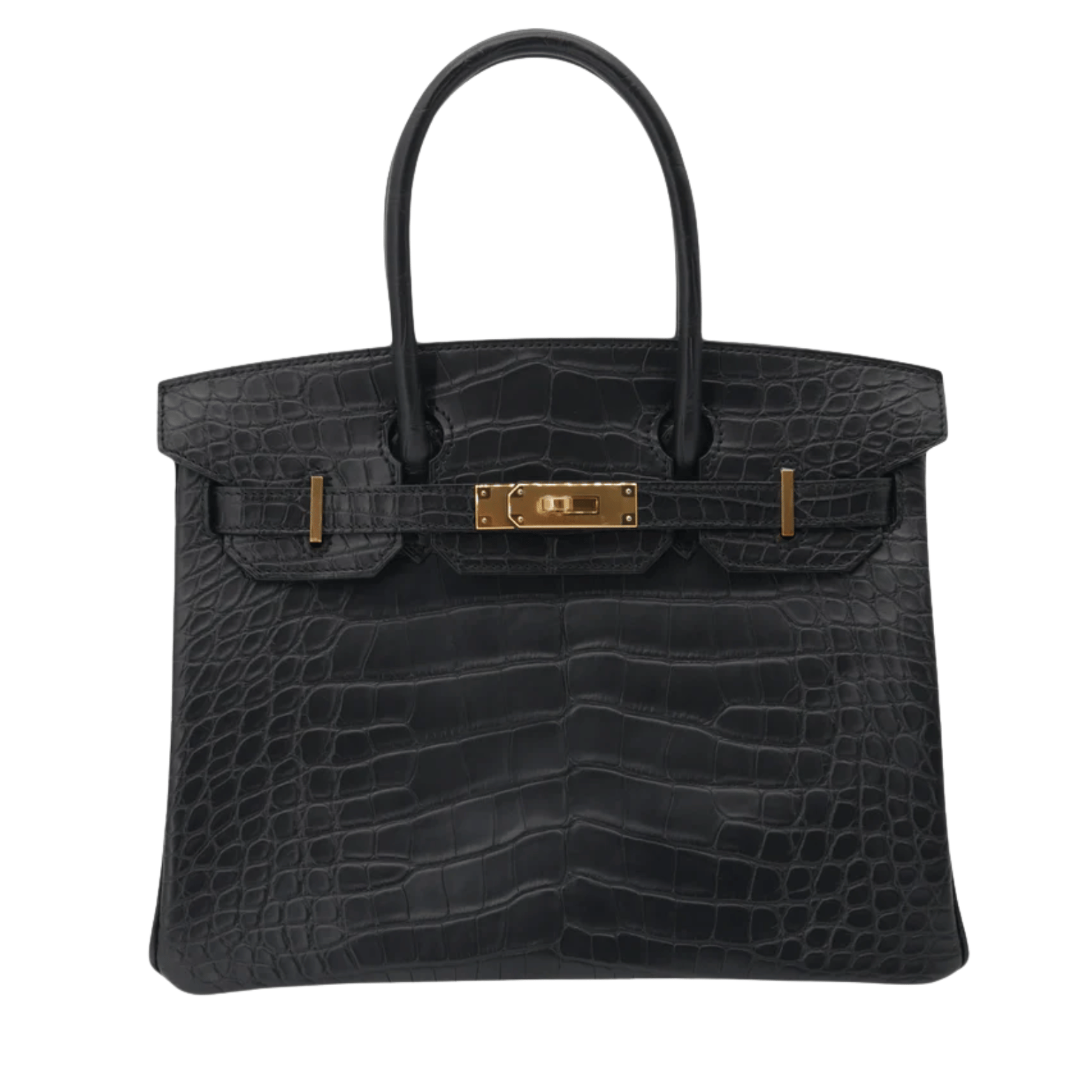 Hermès | Birkin Croc
