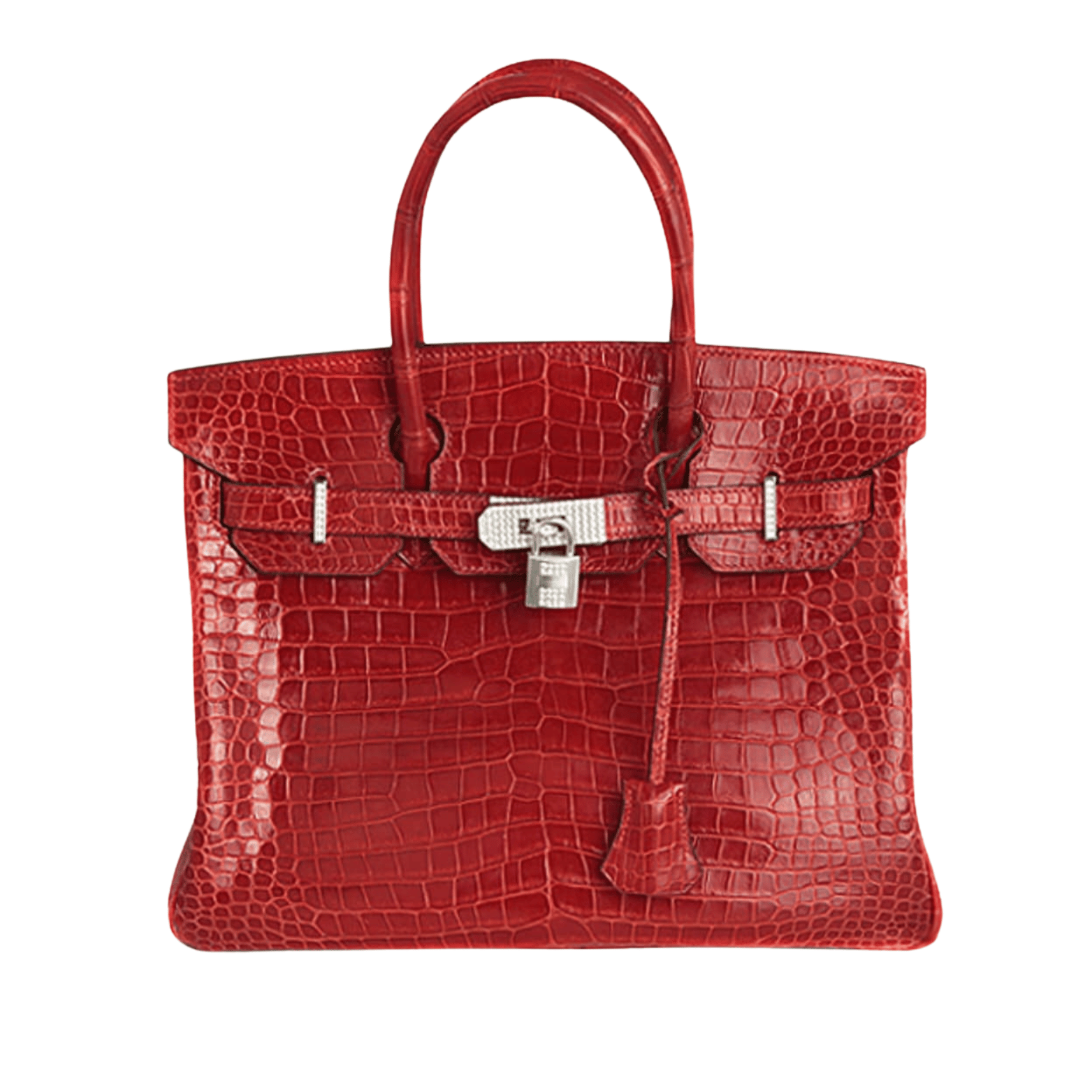Hermès | Birkin Bag Made From Crocodile Skin Red