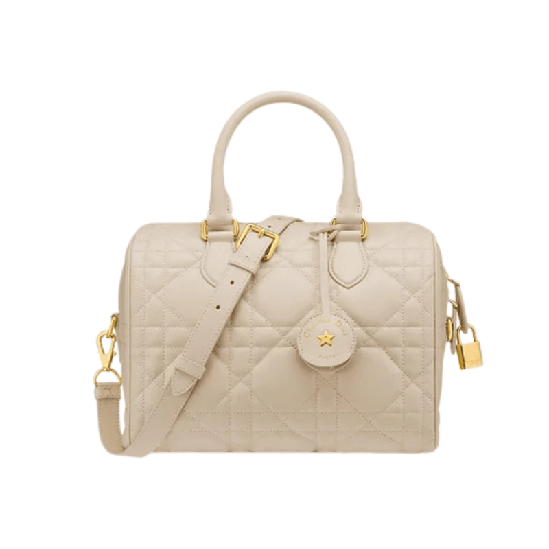 Dior | Groove 25 Bag