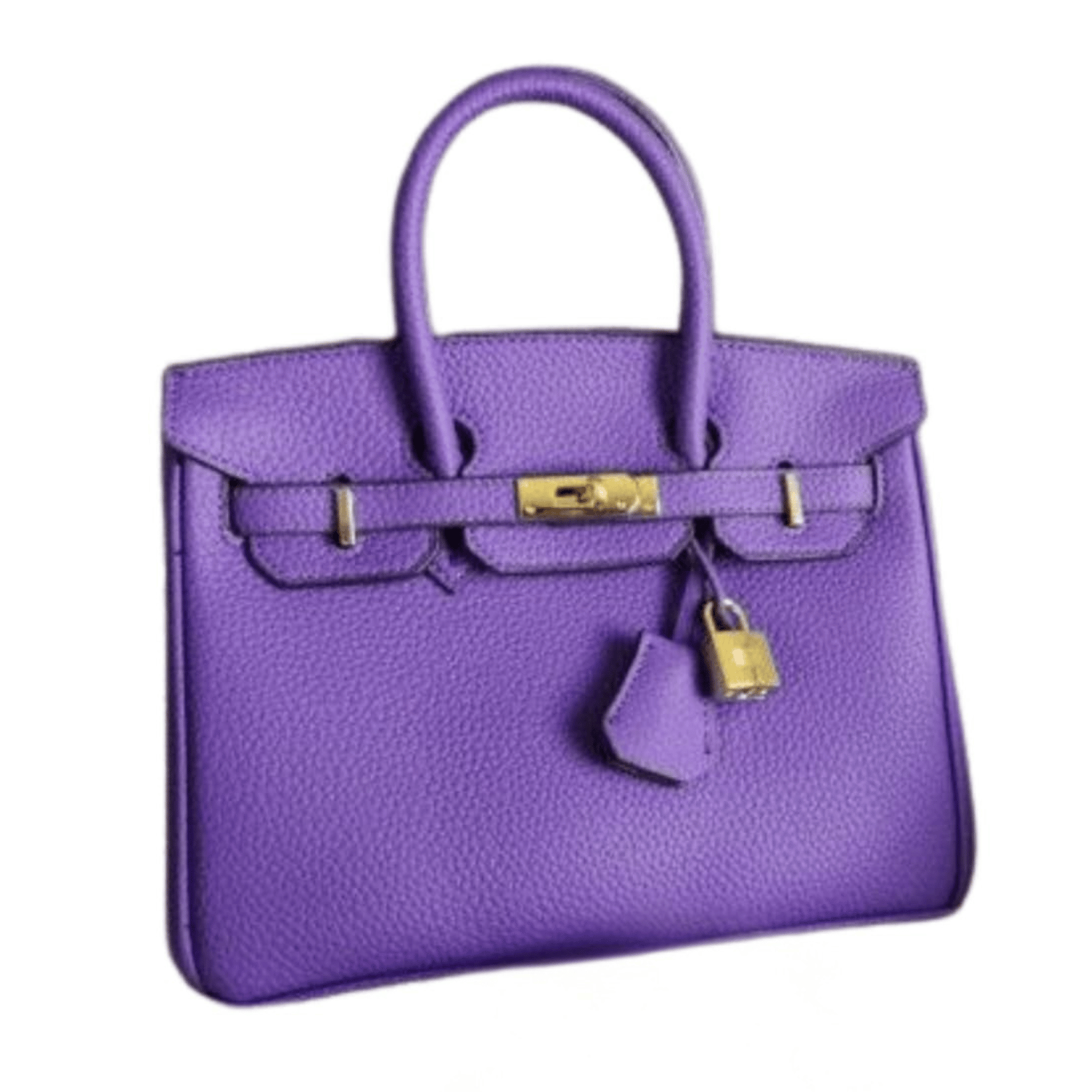 Hermès | Birkin Bag In A Purple-colored Leather Gold Hardware