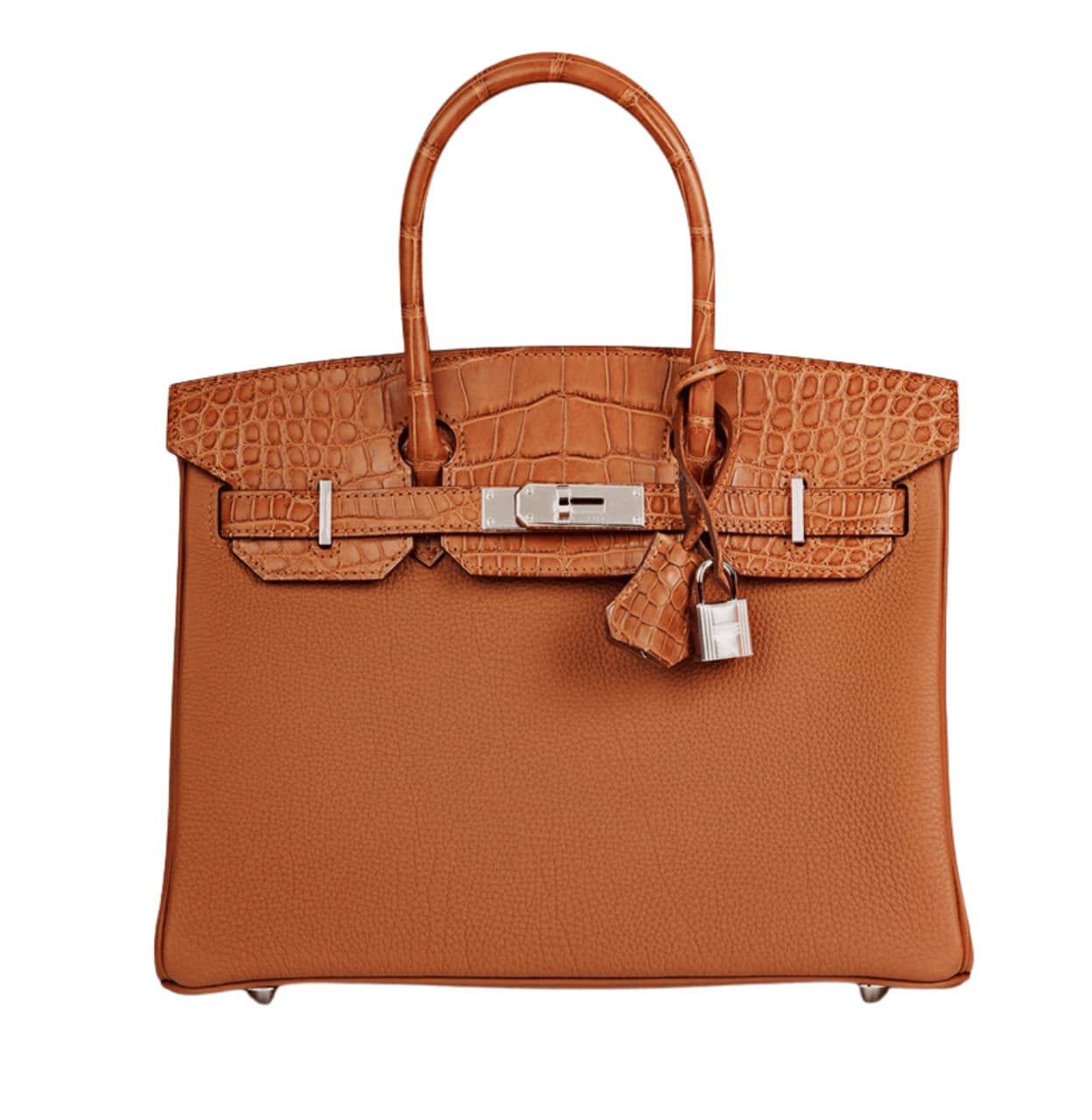 Hermès | Birkin Bag In Gold Togo Leather With Crocodile Details And Palladium Hardware