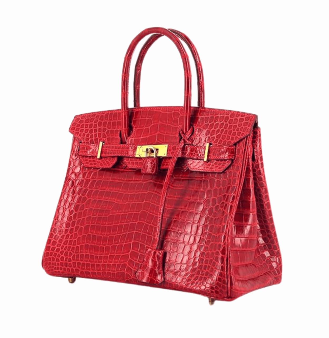 Hermès | Birkin Bag Made From Crocodile Skin Red