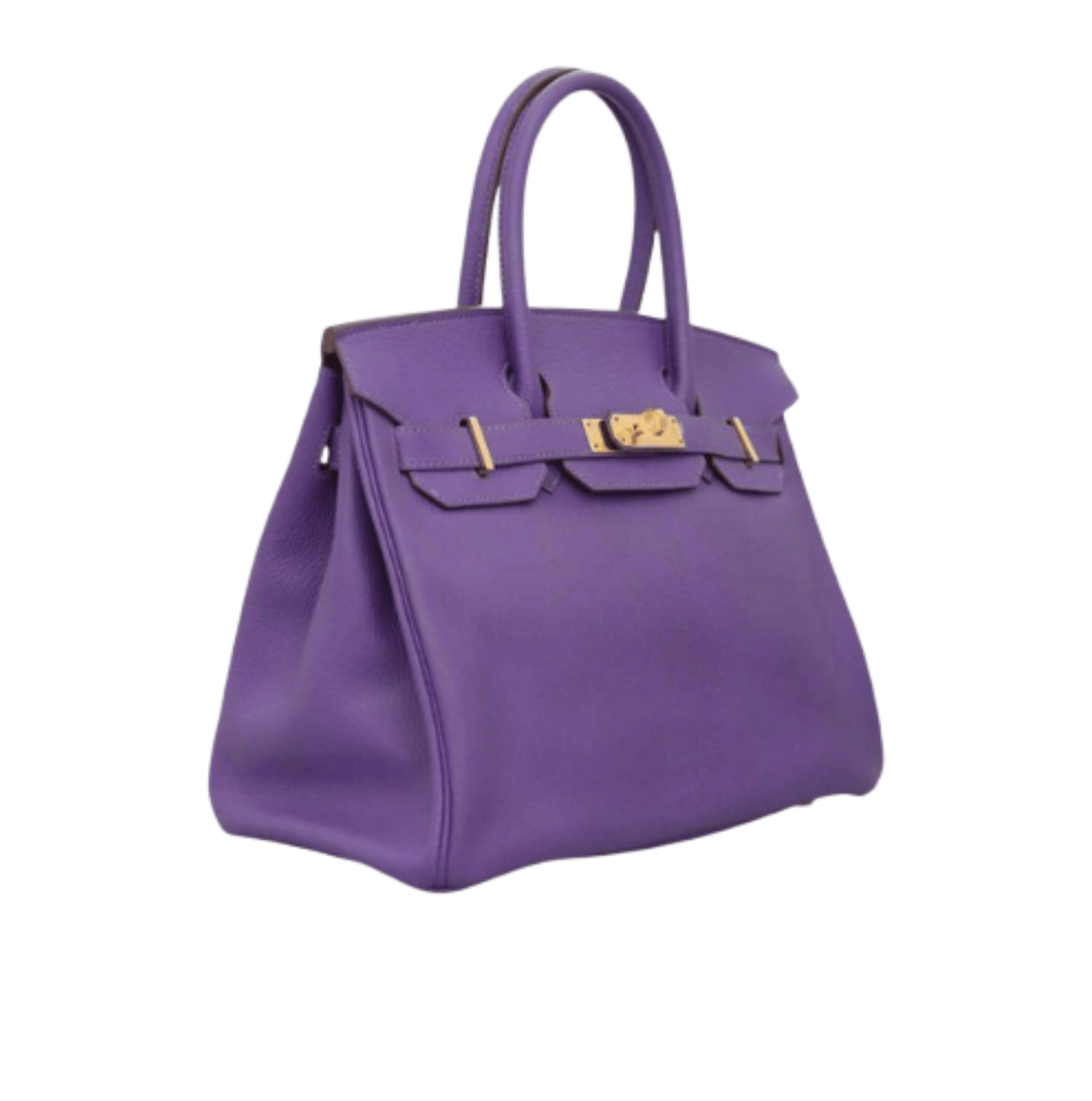 Hermès | Birkin Bag.from High-quality Leather Likely Togo Leather With Gold-tone Hardware
