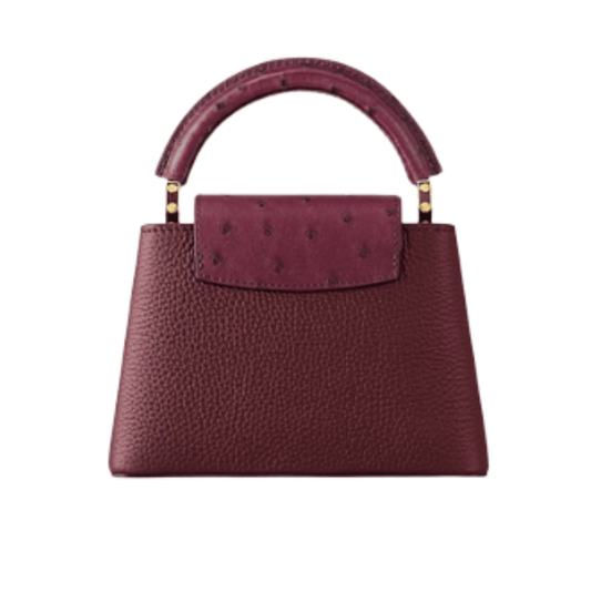 Louis Vuitton | Capucines East-west Mini Bag In Crinkled Grenat Red Leather With Gold-toned Hardware