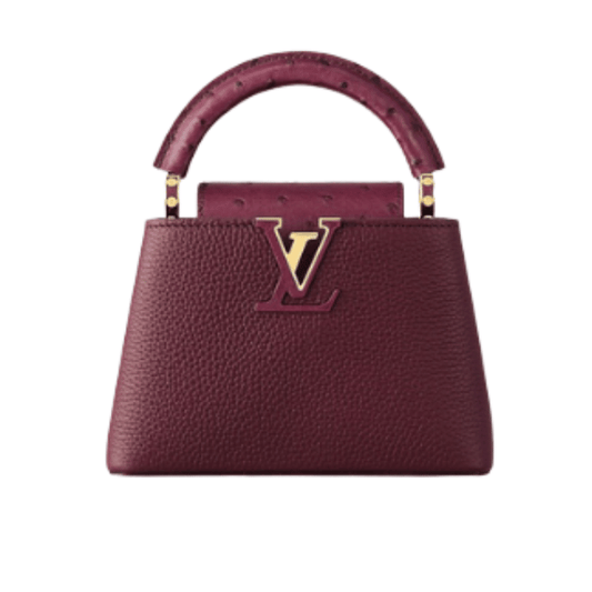 Louis Vuitton | Capucines East-west Mini Bag In Crinkled Grenat Red Leather With Gold-toned Hardware